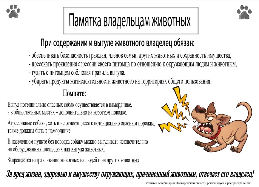 Памятка владельцам животных.